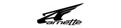 ARNETTE